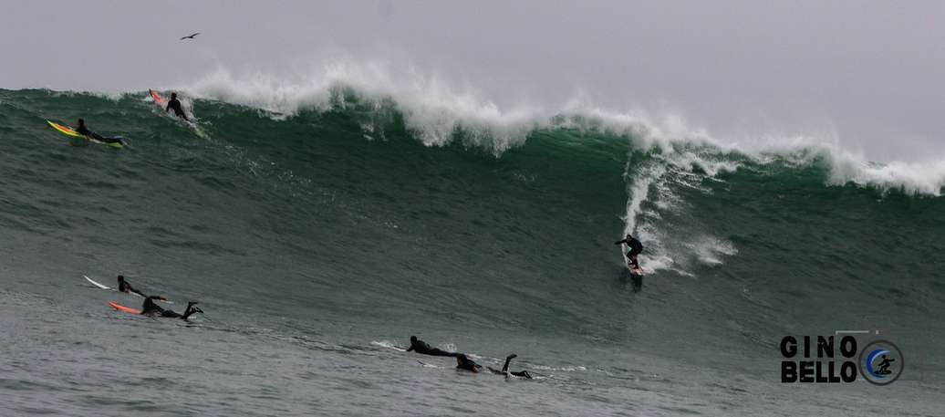 Bombas Picoalteras 2021