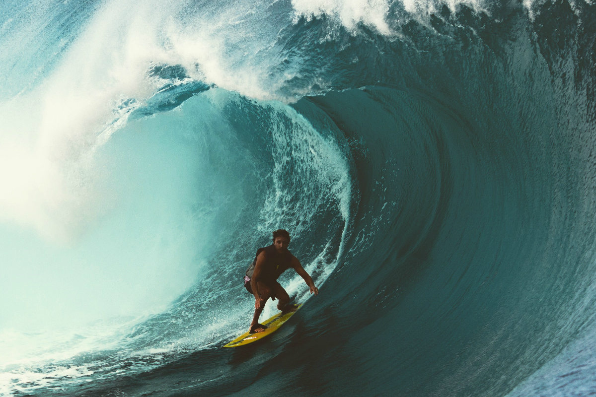 Video: Lo nuevo de Gubbins en Indo, &Aacute;frica, Per&uacute; y Tahit&iacute;