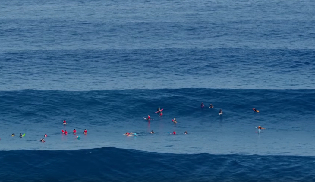 [Videazo] Jaws en su m&aacute;xima expresi&oacute;n