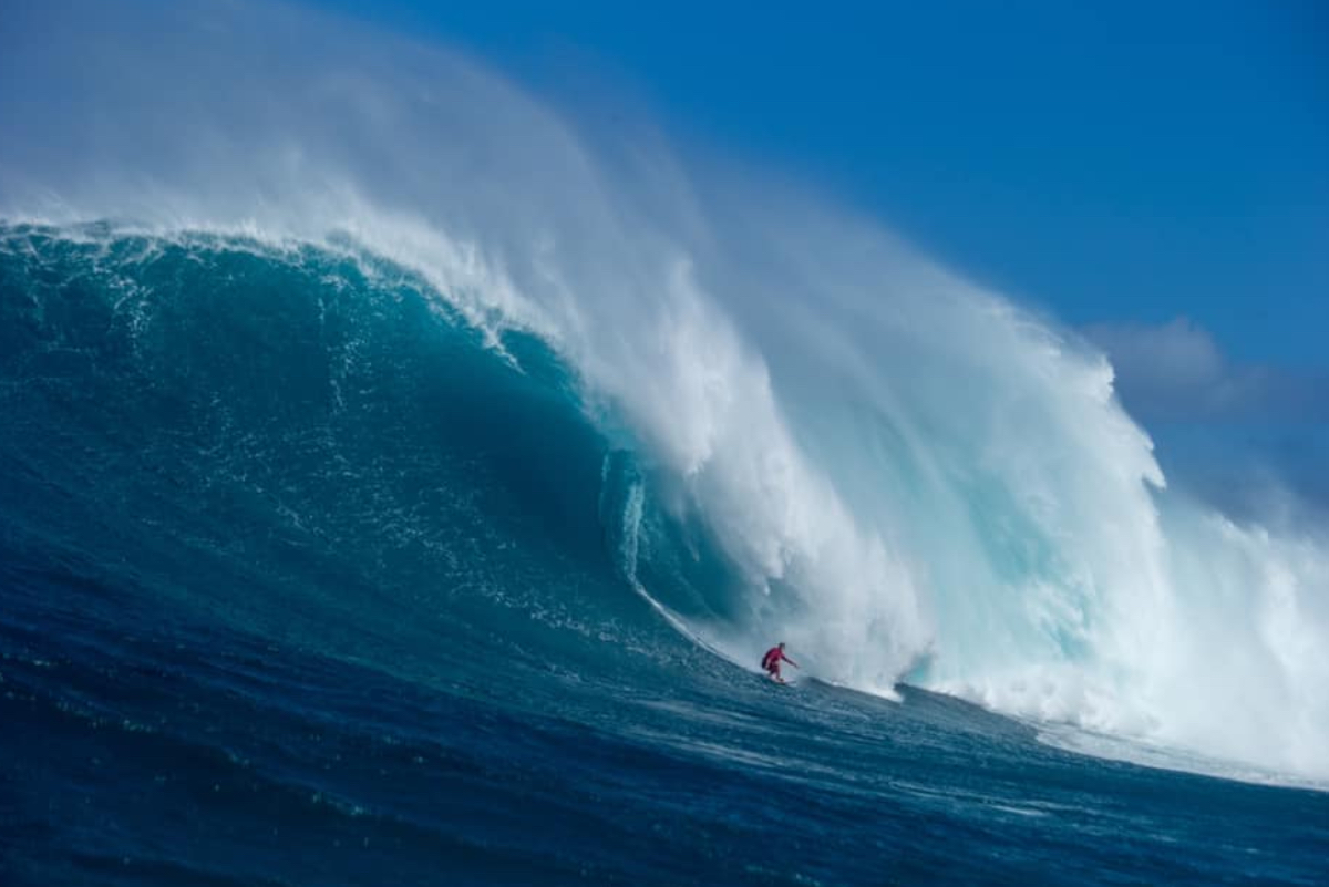 Peruano Mart&iacute;n Jer&iacute; Jr junto a pesos pesados en la pelicula de Jaws